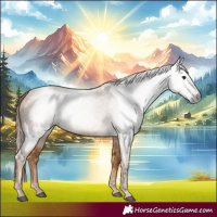 Horse Color:Gray Red Dun 