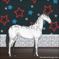 Horse Color:White Spotted Blue Roan Appaloosa 