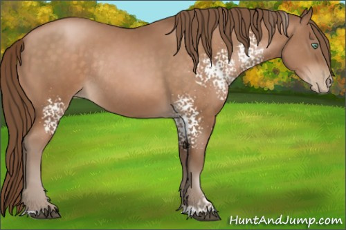 Horse Color:White Spotted Brown Pearl Sabino Rabicano 