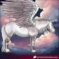 Horse Color:White Spotted Chocolate Silver Bay Chinchilla Ice Onyx 