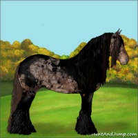 Horse Color:Void White Spotted Liver Chestnut Ice Tobiano 