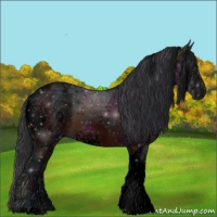 Horse Color:Void White Spotted Midnight Bay Ice