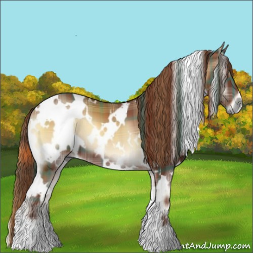 Horse Color:Plaid  White Spotted Red Onyx 