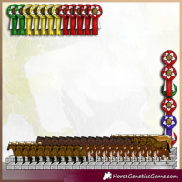 Horse Color:Black Sabino  and Black Sabino 