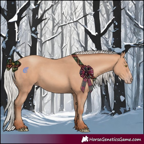 Horse Color:Silver Amber Champagne Frame 