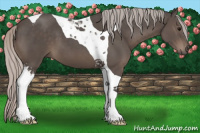 Horse Color:Silver Black Tobiano