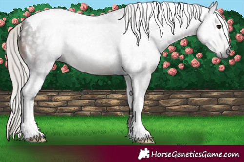 Horse Color:Gray Silver Brown Tobiano 