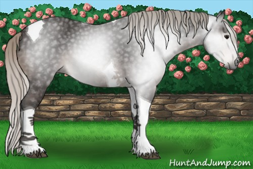 Horse Color:Gray Silver Brown Tobiano 