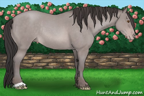 Horse Color:Platinum Sable Champagne Roan Rabicano