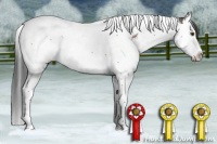 Horse Color:Bay Splash Tobiano Appaloosa 