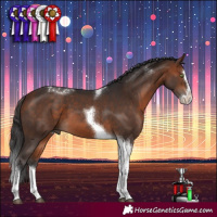 Horse Color:Bay Splash Tobiano