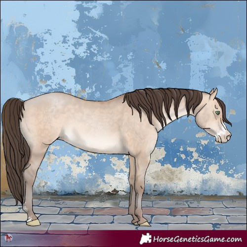 Horse Color:Sable Champagne Dun Sabino