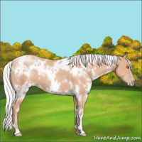 Horse Color:White Spotted Silver Classic Champagne