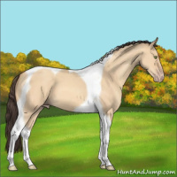 Horse Color:Amber Champagne Dun Tobiano 