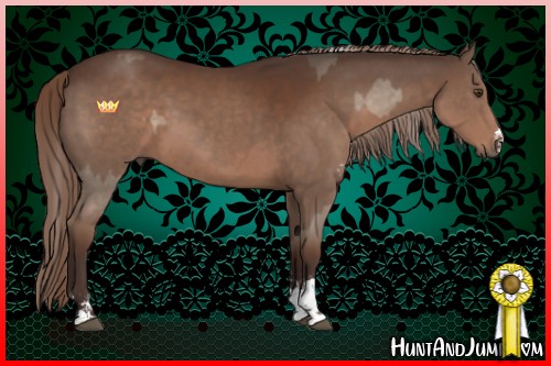 Horse Color:Liver Red Dun Sabino  and Liver Chestnut Sabino 