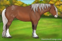 Horse Color:White Spotted Silver Bay Splash 