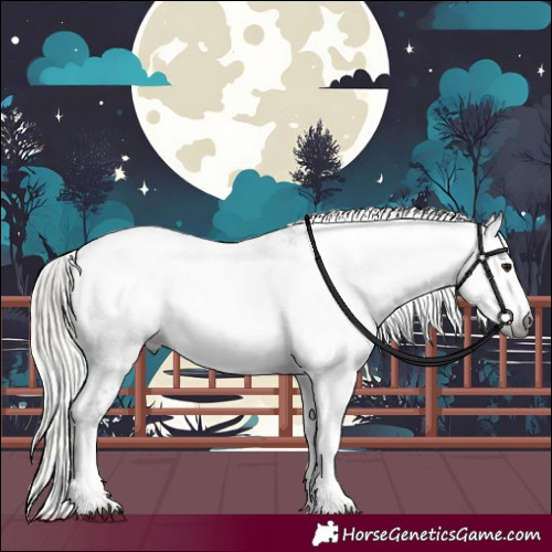 Horse Color:Gray White Spotted Silver Brown Sabino Appaloosa 