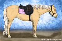 Horse Color:Palomino 