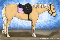 Horse Color:Palomino 