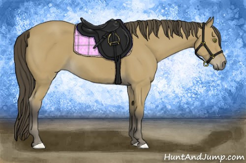 Horse Color:Buckskin Sabino 