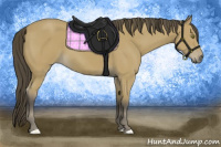 Horse Color:Buckskin Sabino