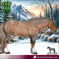 Horse Color:Chocolate Palomino Roan Tobiano