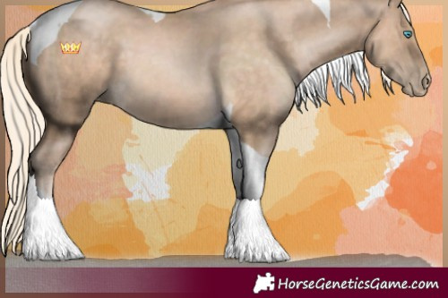 Horse Color:Chocolate Palomino Pearl Tobiano 