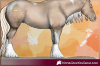 Horse Color:Chocolate Palomino Pearl Tobiano 