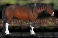 Horse Color:Bay Tobiano Frame 