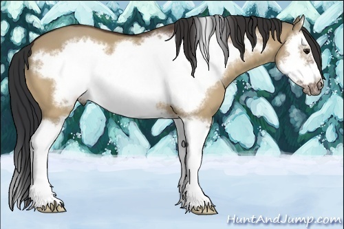 Horse Color:Bay Dun Splash Frame 