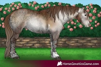 Horse Color:Gray Blue Onyx Ice Pearl Tobiano 