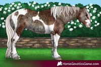 Horse Color:Silver Blue Onyx Ice Tobiano 