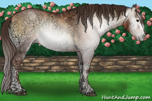 Horse Color:Gray Liver Red Onyx Ice Pearl 