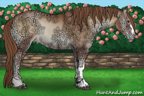 Horse Color:Liver Red Onyx Ice Pearl 