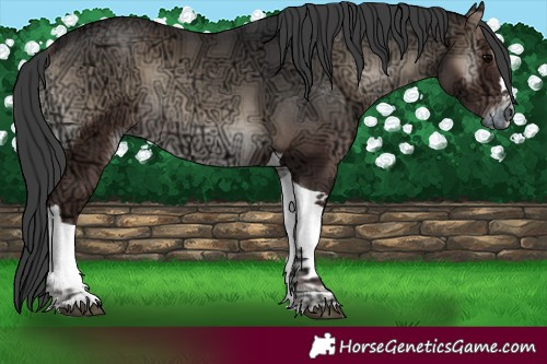 Horse Color:Blue Onyx Ice Tobiano 