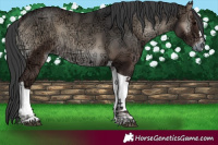 Horse Color:Blue Onyx Ice Tobiano 