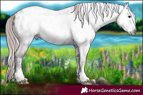 Horse Color:Gray Blue Onyx Ice Pearl Tobiano Near Leopard
