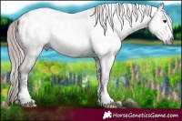 Horse Color:Gray Blue Onyx Ice Pearl Tobiano Near Leopard 