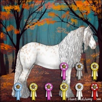 Horse Color:Gray Cremello Sabino Appaloosa