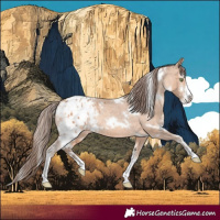 Horse Color:White Spotted Amber Champagne Sabino Varnish Rabicano 