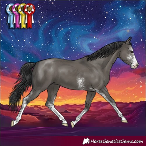 Horse Color:Grullo Sabino 