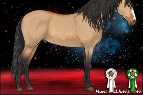 Horse Color:Bay Dun