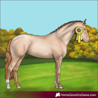 Horse Color:Sable Champagne Pearl 