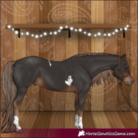 Horse Color:Liver Chestnut Tobiano