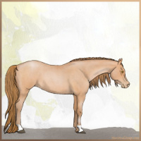 Horse Color:Bay Roan Pearl 