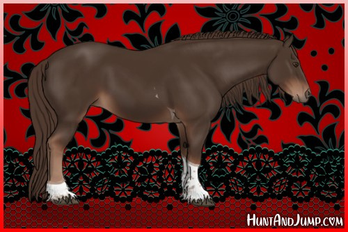 Horse Color:Liver Chestnut Tobiano 