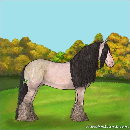 Horse Color:Buckskin Ice Dun