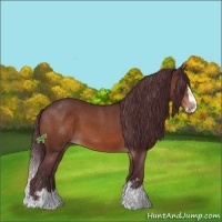 Horse Color:Chocolate Brown Mushroom Sabino Splash
