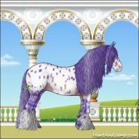 Horse Color:Watercolor White Spotted Brown Sabino Splash Appaloosa 