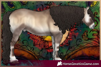 Horse Color:Liver Red Dun Onyx Rabicano